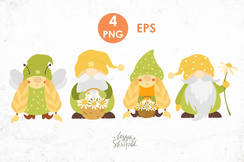 gnomes-daisy-summer-gnomes-gnome-girl-png