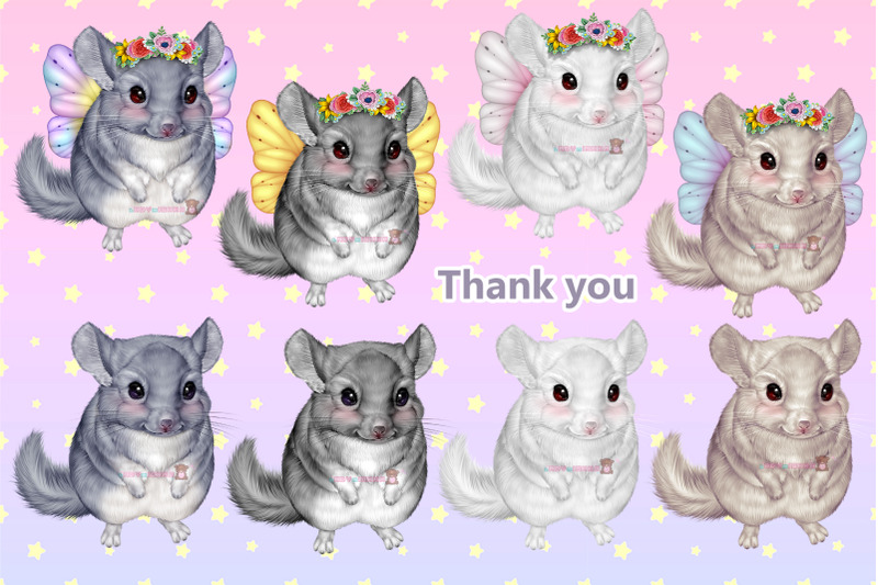 cute-fairy-chinchilla