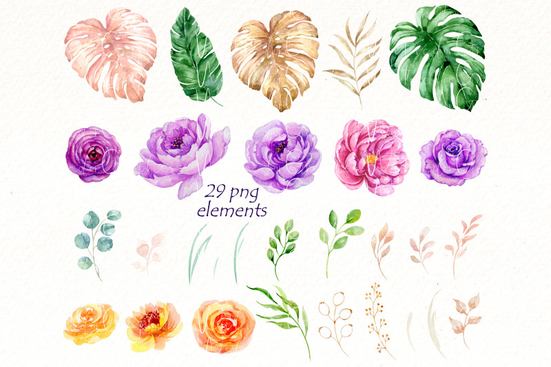 watercolor-flowers-clipart-peonies-and-roses-boho-style
