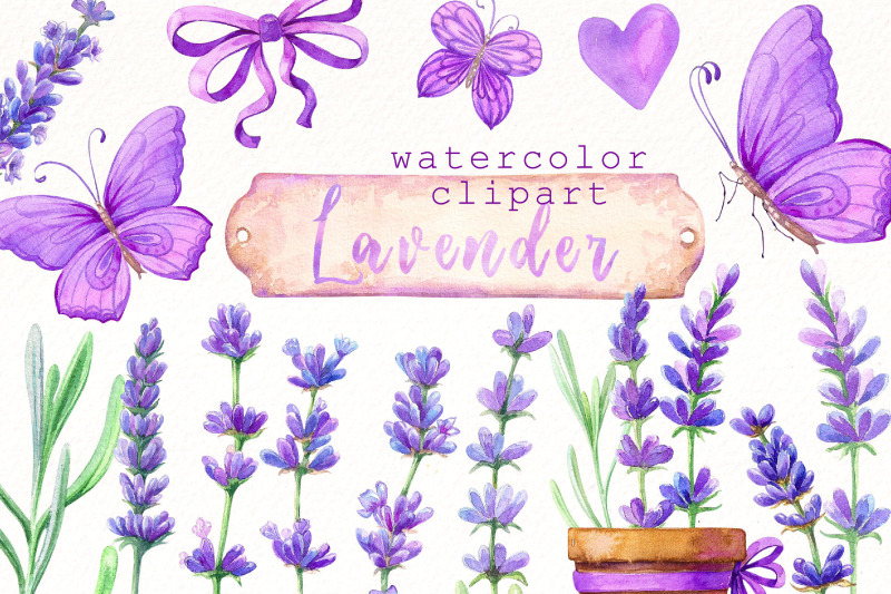 watercolor-lavender-clipart-bundle-vintage-flowers-png