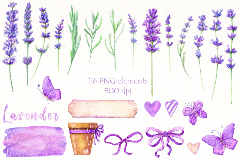 watercolor-lavender-clipart-bundle-vintage-flowers-png