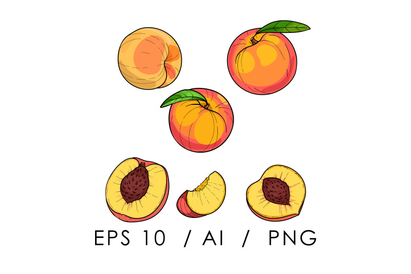 peach-sketch