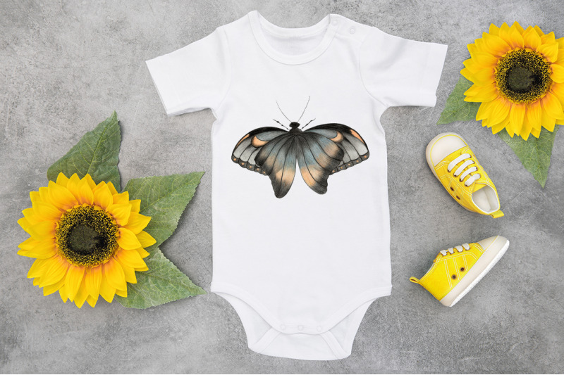 butterfly-sublimation-png-design