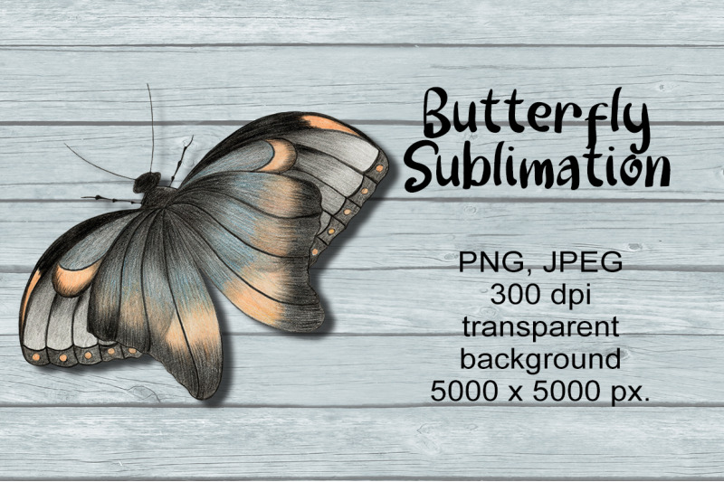 butterfly-sublimation-png-design