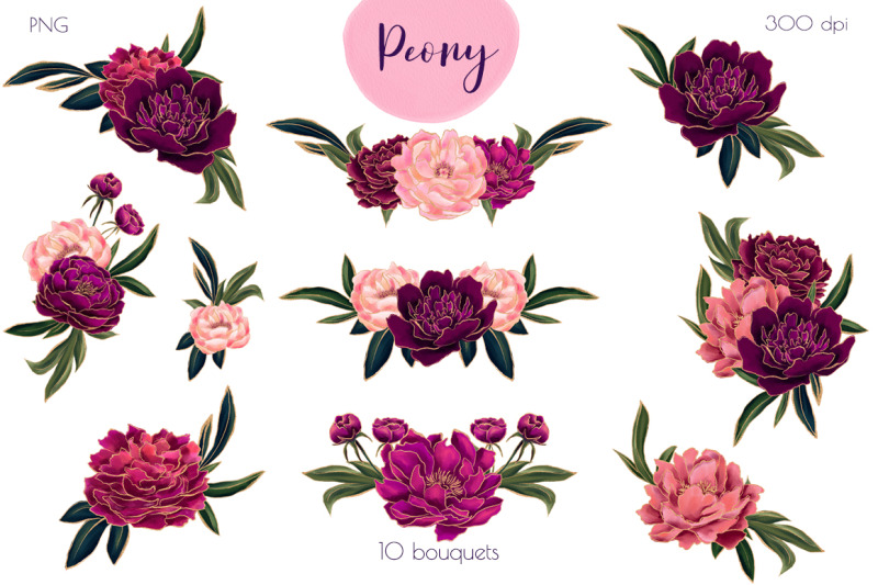 peony-watercolor-clipart