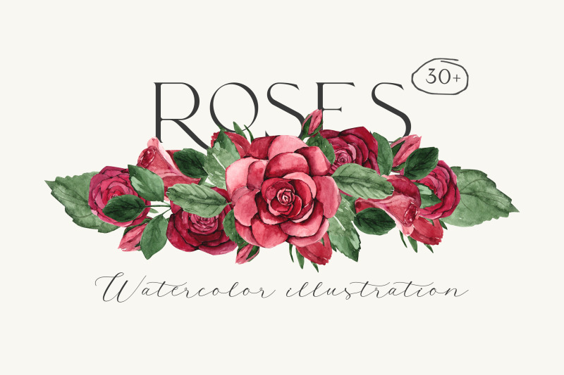 roses-watercolor-clipart