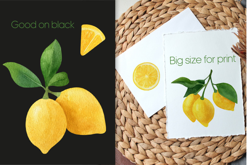 lemon-fruit-watercolor-clipart-fresh-summer-fruit