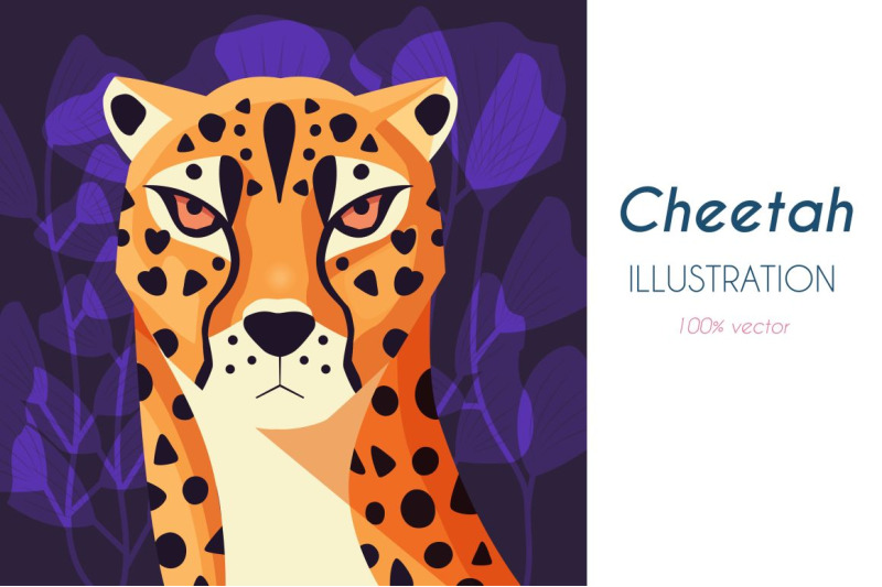 cheetah-illustration-vector