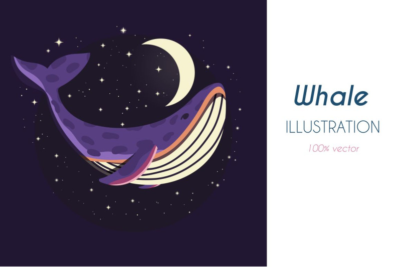 whale-illustration-vector