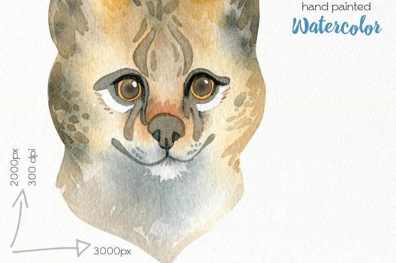 watercolor-wild-cats-clipart