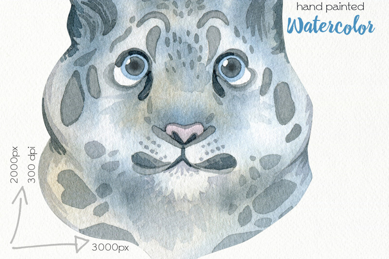 watercolor-wild-cats-clipart