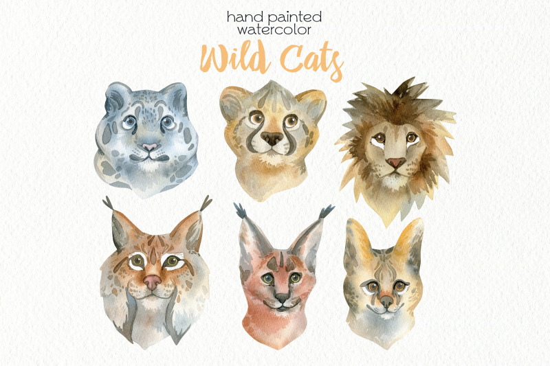 watercolor-wild-cats-clipart