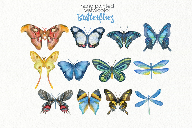 watercolor-butterflies-clipart