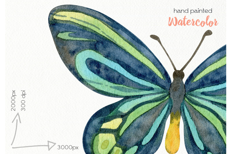 watercolor-butterflies-clipart