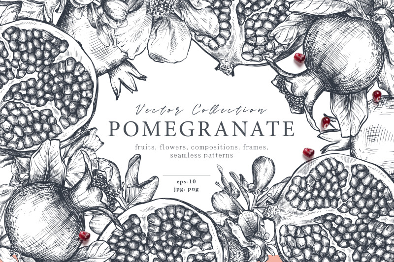pomegranate-fruit-vector-set