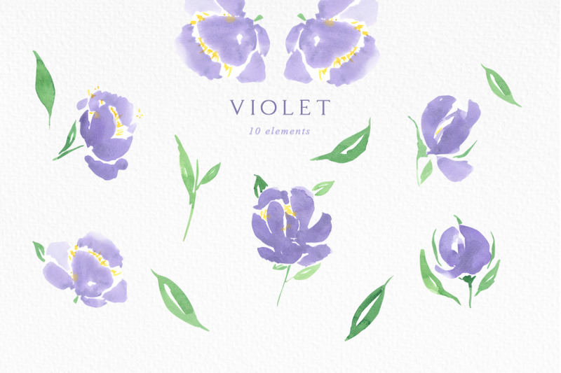 watercolor-purple-flowers-violet-peony-frame