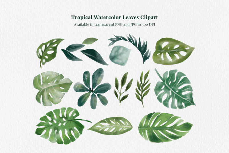 tropical-watercolor-leaves-clipart-collection