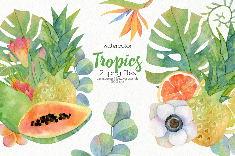 watercolor-tropical-design