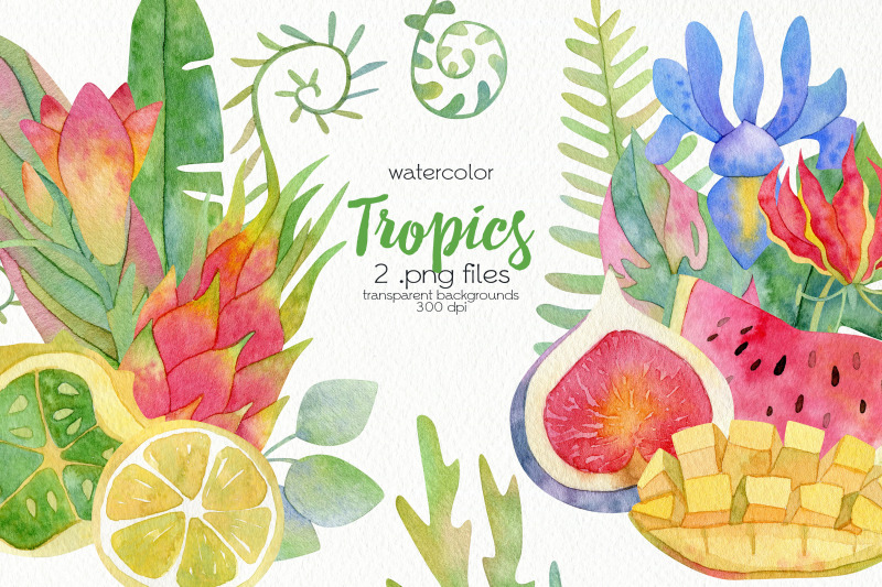 watercolor-tropical-design