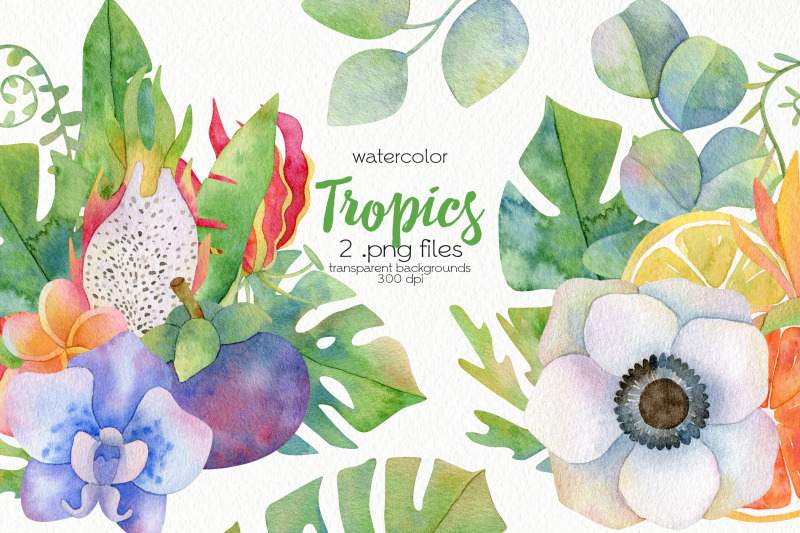 watercolor-tropical-design