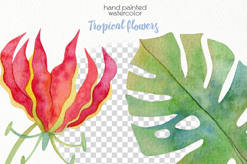 watercolor-tropics-clipart