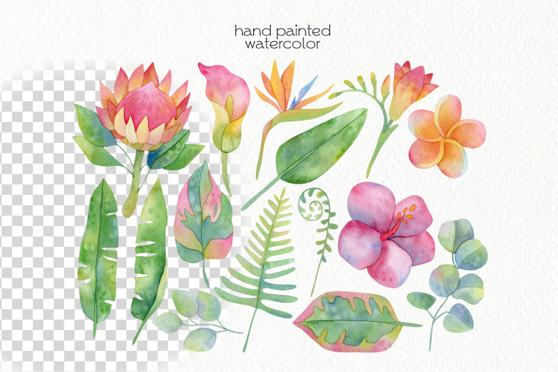 watercolor-tropics-clipart