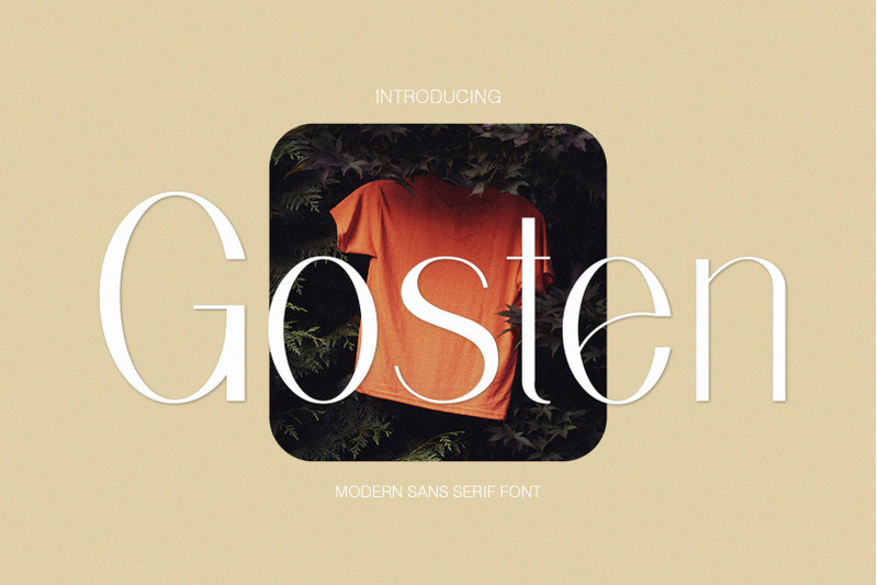 gosten-modernsans-serif-font