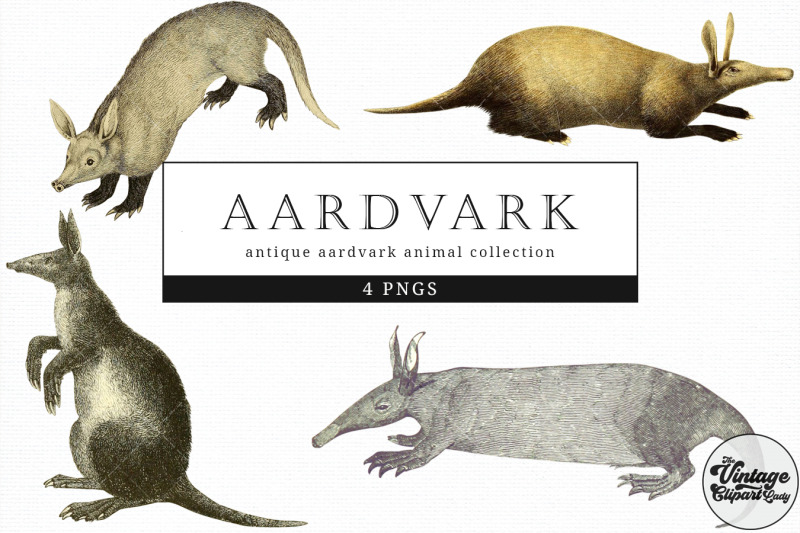 aardvark-vintage-animal-illustration-clip-art-clipart-fussy-cut