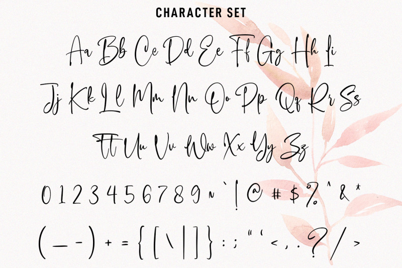 heistorika-signature-script-font