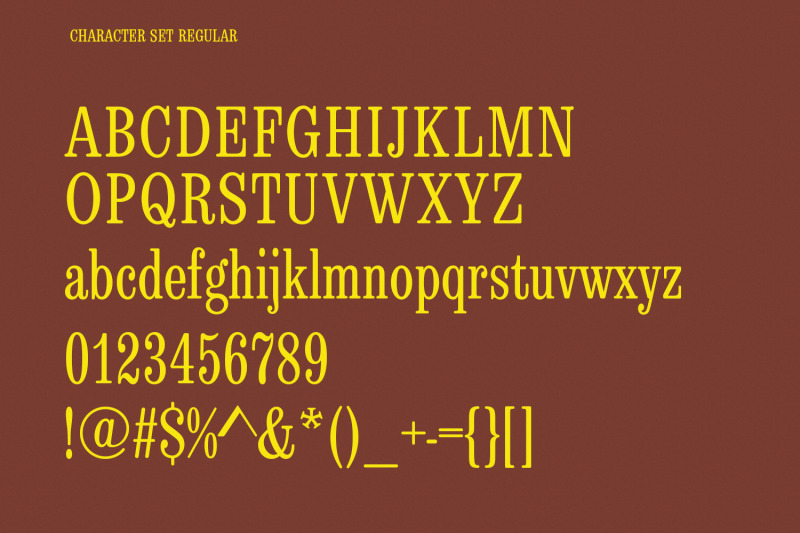 nuflek-display-serif-font