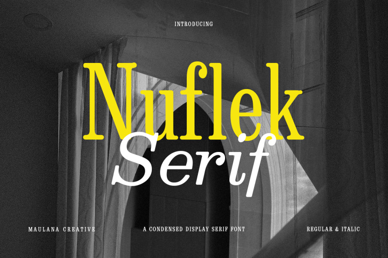 nuflek-display-serif-font