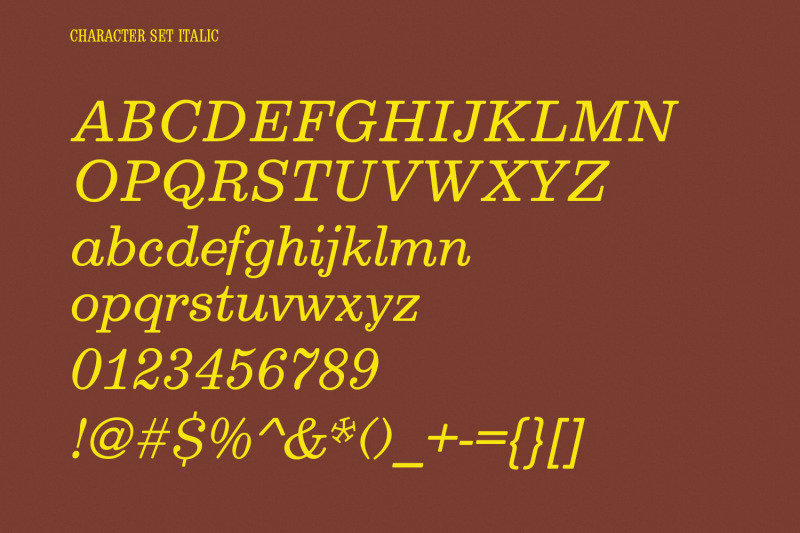 nuflek-display-serif-font