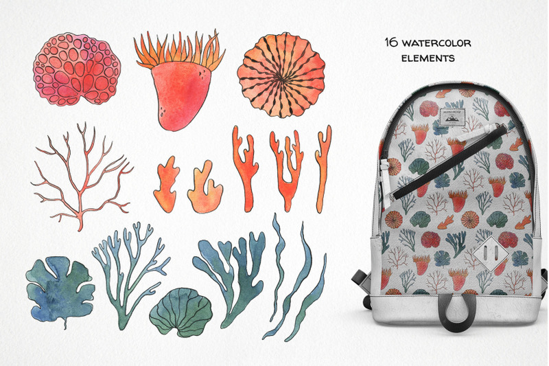 sea-life-watercolor-creator-clipart-seascape-clip-art
