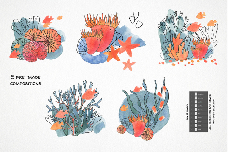 sea-life-watercolor-creator-clipart-seascape-clip-art