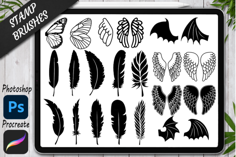 feather-stamps-brushes-for-procreate-and-photoshop-wing-angel-wings