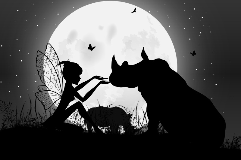 cutefairy-and-rhino-silhouette