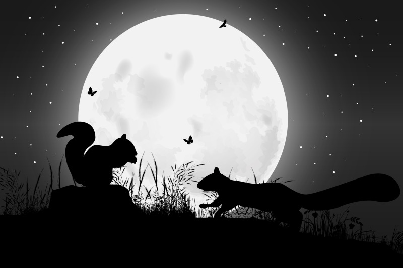 cute-squirrel-and-moon-silhouette