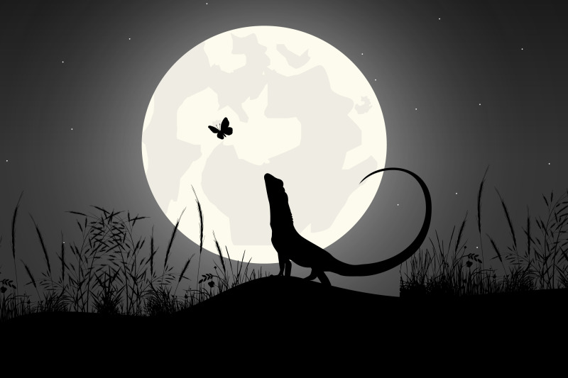 cute-lizard-and-moon-silhouette