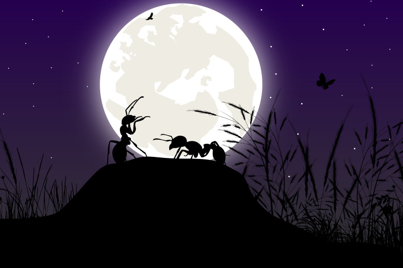 cute-ant-and-moon-silhouette