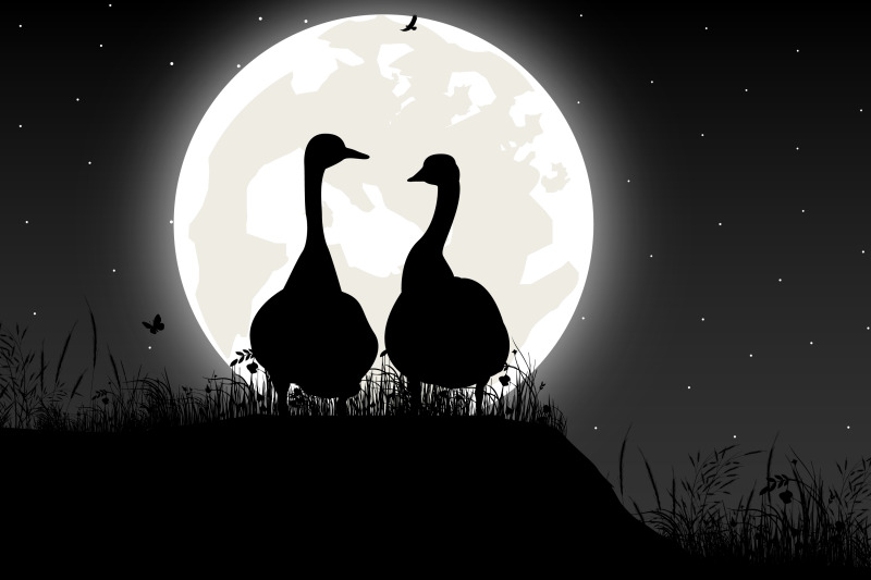 cute-goose-and-moon-silhouette