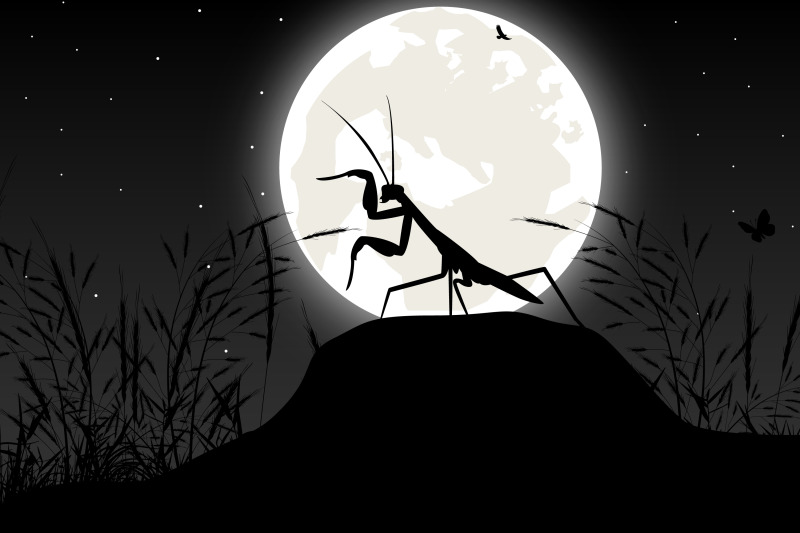 cute-grasshopper-and-moon-silhouette