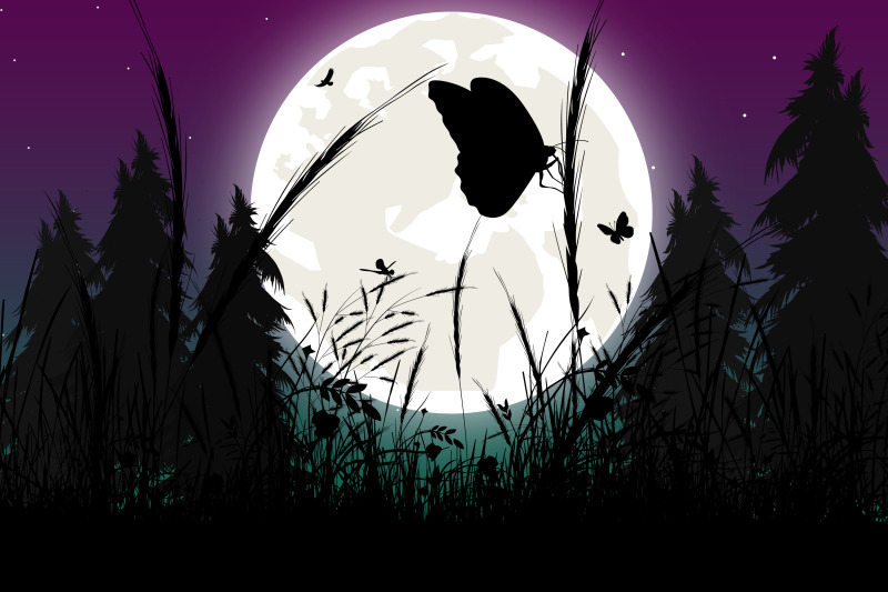cute-butterfly-and-moon-silhouette