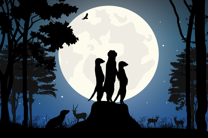 cute-meerkat-and-moon-silhouette