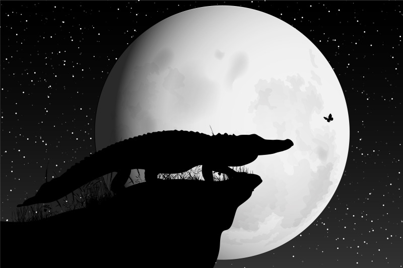 cute-crocodile-and-moon-silhouette