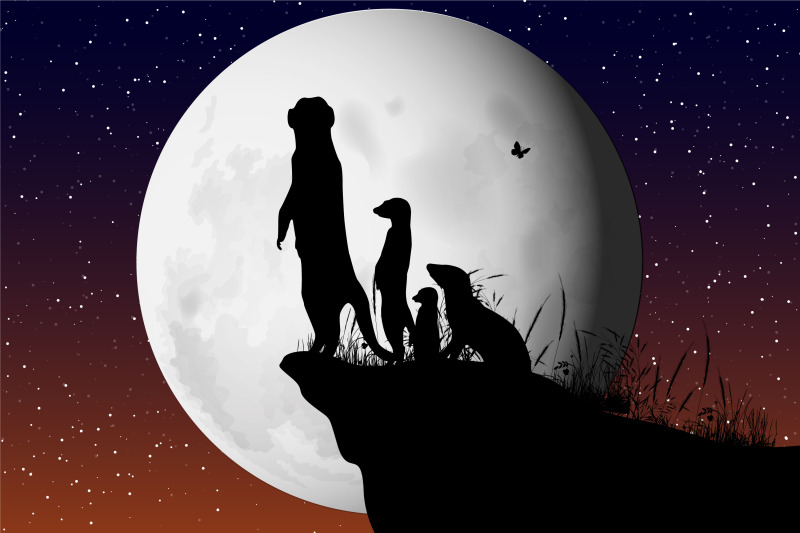 cute-meerkat-and-moon-silhouette