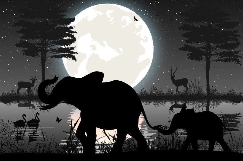 cute-elephant-and-moon-silhouette