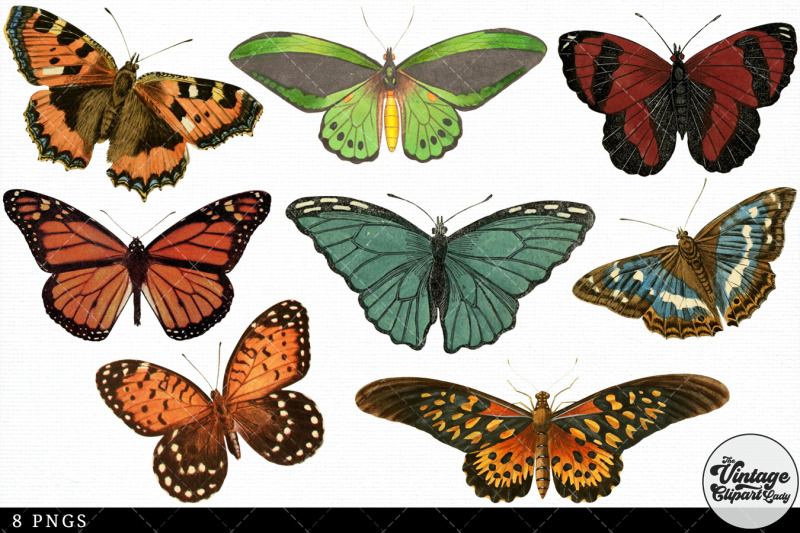 butterfly-vintage-animal-illustration-clip-art-clipart-fussy-cut