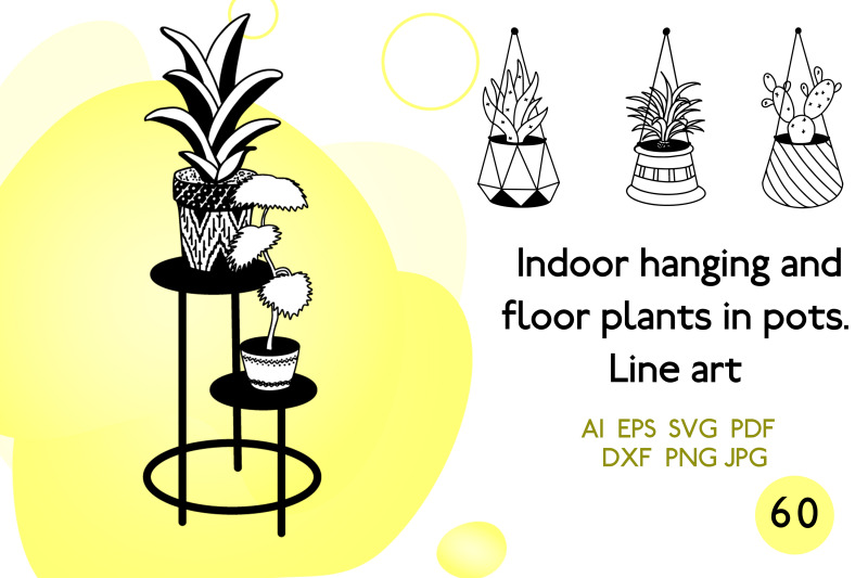 indoor-hanging-and-floor-plants
