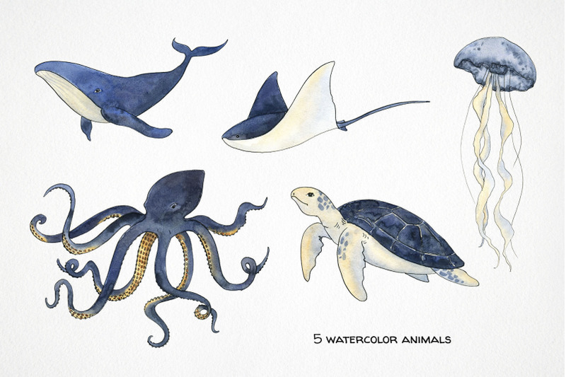 mystery-creatures-watercolor-clipart-celestial-sea-clip-art
