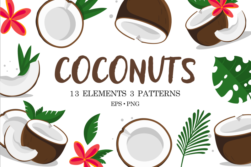 coconuts-vector-illustrations